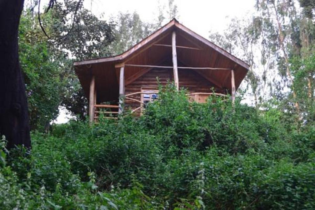 Lake Bunyonyi Eco Resort Chabahinga Room photo